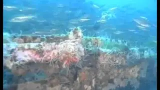 Relitto incrociatore Amalfi