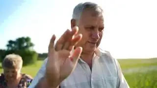 поездка к дереву