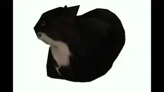 This is a Maxwell cat