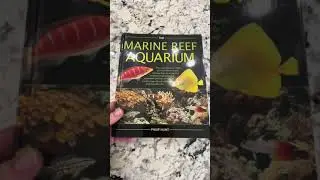 Birthday Gifts