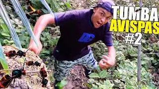 Tumba Avispas #2 🐝 *Con El Puño* - Andrés WG