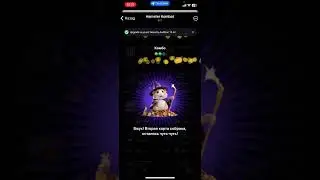 Комбо карты #hamsterkombat 26.06.24
