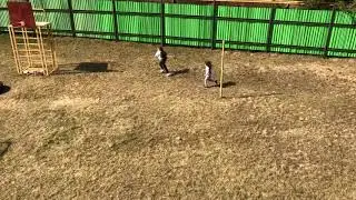 15 апреля 2020 г.