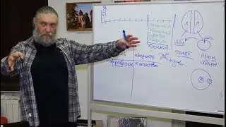 Алексей Капранов лекторий по теме 