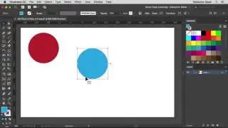 Adobe Illustrator 