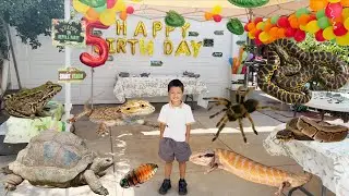 Reptiles Birthday Party! Tortoises, Snakes, Tarantula, Gecko, Bearded Dragon Jeremy Does