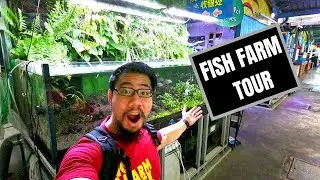QIAN HU FISH FARM TOUR! Mega huge!!!