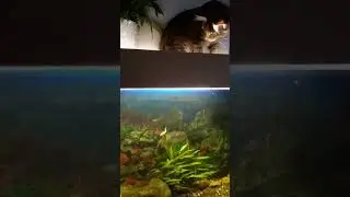 Рыбалка - её мы любим с детства!