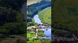 Веренский сосновый бор