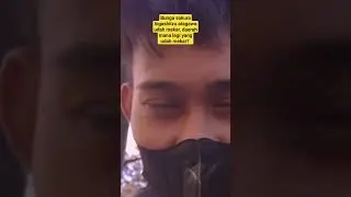 bunga sakura tempat kalian udah mekar belum? #hanamichisakuragi #kehidupandijepang