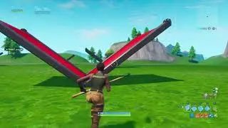 1v1 with brother