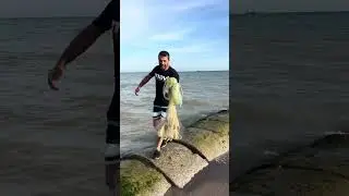 Serpme ile karides avı