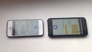 ДВЕ АЛИСЫ ПОД ОКНОМ! РЖАКА ДО СЛЕЗ! СМОТРЕТЬ ДО КОНЦА! 0+