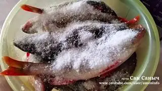 Как солить и сушить крупного окуня в домашних условиях
