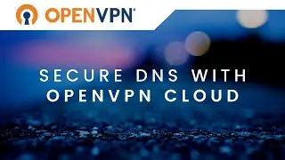 DNS Security and Protection with CloudConnexa (formerly OpenVPN Cloud)