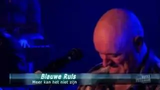 Blauwe ruis - Meer kan het niet zijn