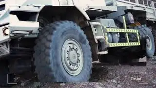 Zetros -Torsion