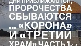 ПОД «СОУСОМ КОРОНЫ»: АНТИХРИСТ и «ТРЕТИЙ ХРАМ»...ЧАСТЬ 1.