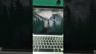 Macbook Force Quit | Tech NeU