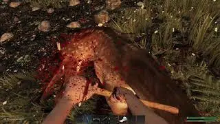 Subsistence: What Animals to Focus on killing! Best Real Life experience survival!