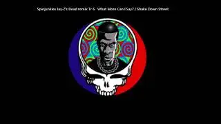 💀Spinjunkies Remix Jay Z's Dead Tr 6: What More Can I Say / Shakedown Street