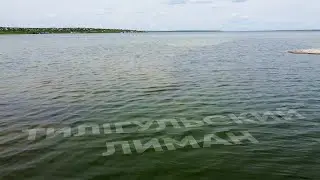 Тилігульський лиман - одне з найулюбленіших місць берд-вотчерів!!!