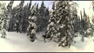 MOV 0010