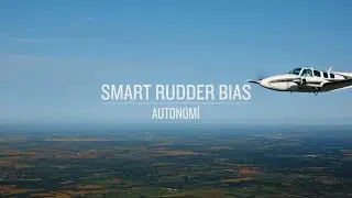 Garmin Smart Rudder Bias: Assistance After an Engine Failure