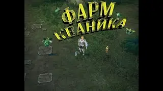 Royal Quest: Часовой фарм в Кванике.