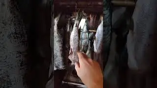 Копчення скумбрії. Копчення в домашніх умовах.