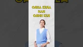 Один кед или одна кеда 