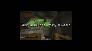 Gaslighting My Own Team | Public LIFESTEAL SMP 1.19