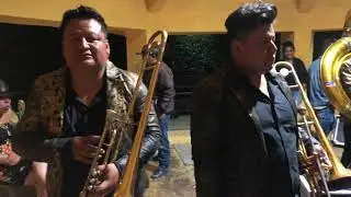 Pura bandita alv -studios Marin