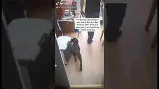 Toilet Training 101