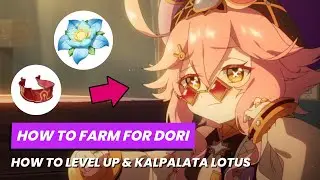HOW TO FARM MATERIALS FOR DORI - Kalpalata Lotus Farm Route & Boss Tips🌷Genshin Impact Sumeru 3.0