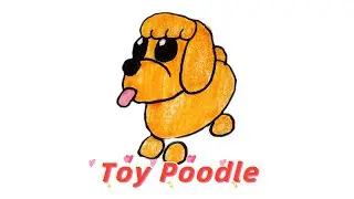 How to draw Toy Poodle | Adopt Me Roblox #drawing