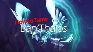 WoW Hunter Guide: Taming Ban'Thalos (Spirit Beast Owl)