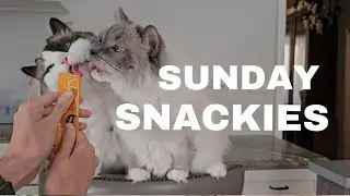Sunday Snackies - Give E&Y a Treat with Me!