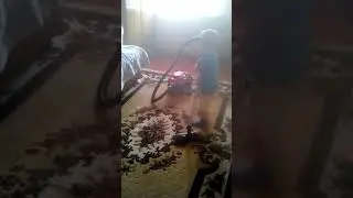 8 марта 2018 г.