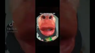 Tiktok compilation with red ninja #2