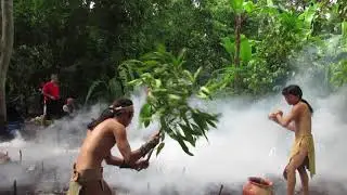 Making forest fires!