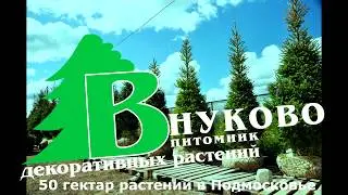 Свежее видео с "Еловых "полей 30.03.18