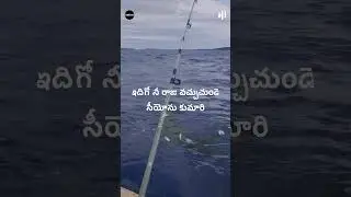 #shorts Jesus Songs Shorts ఇదిగో నీ రాజు - Idigo Nee Raju Vachuchunde Song | Jesus Telugu Songs