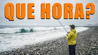 What's the Best Time to Fish? 🎣 When Do Fish Bite the Most? 🐟