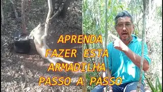 uma armadilha das mais funcional do mundo