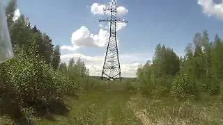 Тайные знаки в лесу. В лес на скутере.