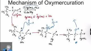 oxymercuration demercuration reaction - Organic Chemistry One (1) Lecture Series Video 43