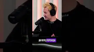 Вы бы перевели жабу через дорогу? 🤔#новости#животные