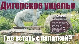 ДИГОРСКОЕ УЩЕЛЬЕ Где встать с палаткой?! Северная Осетия путешествие своим ходом