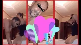 صادم😱 فضيحة جنسية بطلها رئيس بلدية في الجزائر 😱